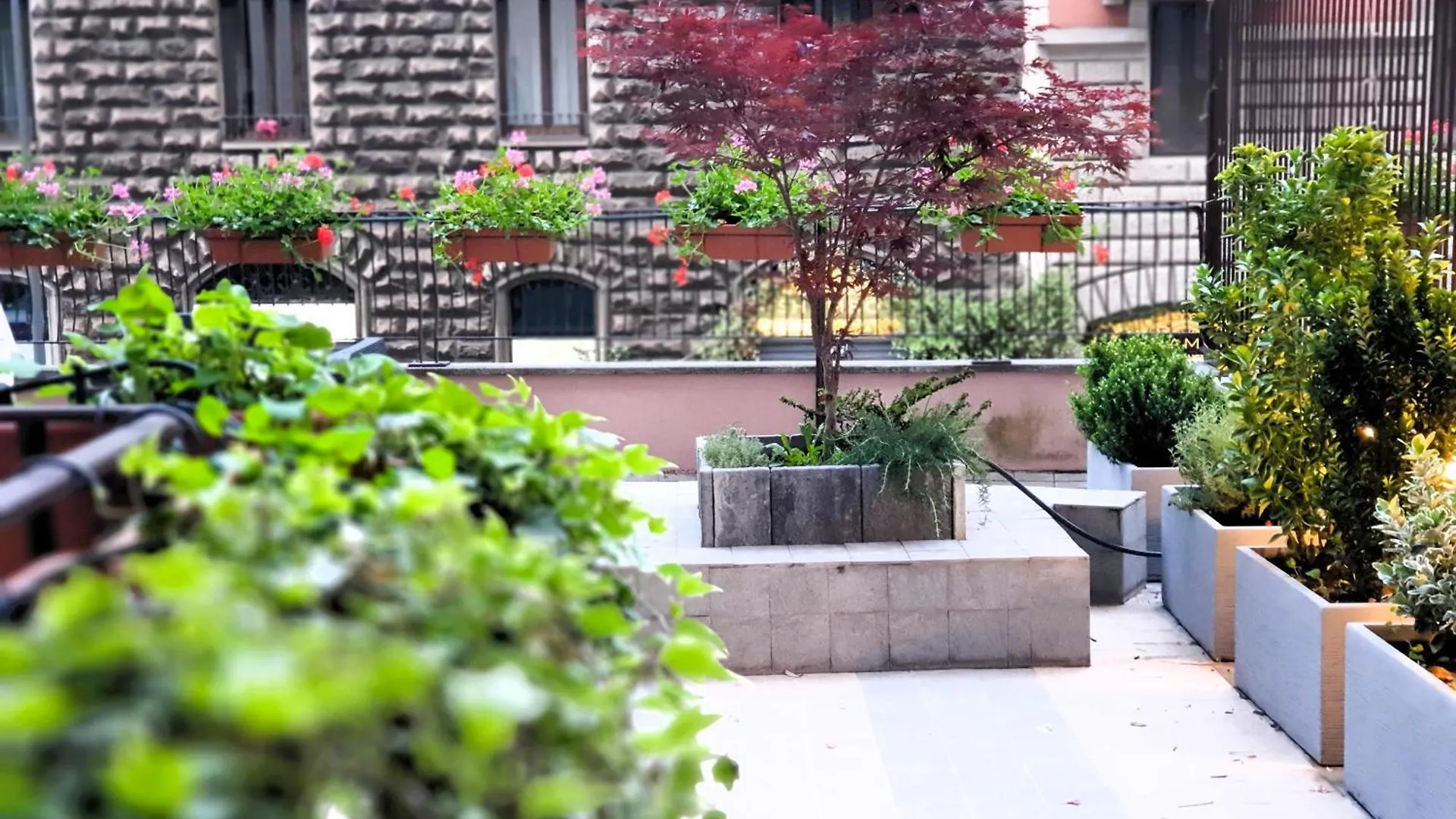 Terrace Charming In Milano Centrale Apartment Milan